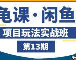 龟课·闲鱼项目玩法实战班第13期,轻松玩转闲鱼,多渠道多方法引流到私域流量池-第一资源库