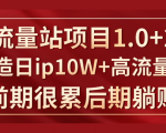 《大流量站项目1.0+2.0》打造日IP10W+高流量站,前期很累后期躺赚-第一资源库