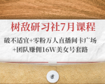 树敌研习社7月课程:破不适宜+零粉万人直播间卡广场+团队赚佣16W美女号套路-第一资源库