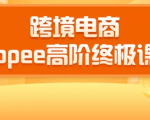 2020跨境电商蓝海新机会-SHOPEE大卖特训营:高阶终极课程(16节课)-第一资源库