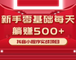 最新小白赚钱项目，零基础每天躺赚500+抖音小程序实战项目-第一资源库