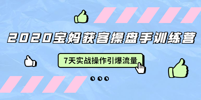 2020宝妈获客操盘手训练营:7天实战操作引爆 母婴、都市、购物宝妈流量-第一资源库