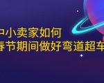 淘宝中小卖家如何利用春节期间做好弯道超车,如何做到月销售额20W+-第一资源库