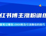 小红书博主涨粉训练营：一篇笔记爆涨10000粉及引流微信的技巧-第一资源库