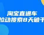 进阶战速课:淘宝直通车拉动搜索8天破千-第一资源库