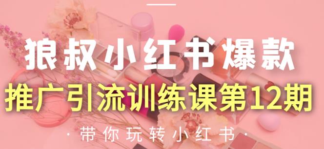 狼叔小红书爆款推广引流训练课第12期,手把手带你玩转小红书-第一资源库