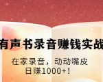 有声书录音赚钱实战:在家录音,动动嘴皮,日赚1000+!-第一资源库