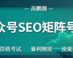 高鹏圈公众号SEO矩阵号群,实操20天纯收益25000+,普通人都能做-第一资源库