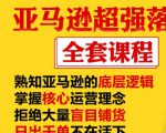 亚马逊超强落地实操全案课程:拒绝大量盲目铺货,日出千单不在话下-第一资源库