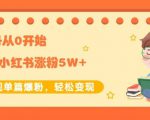 生财小红书涨粉变现：新账号从0开始3个月小红书涨粉5W+实现单篇爆粉-第一资源库