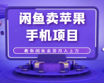 闲鱼卖苹果手机项目，教你闲鱼卖货月入上万-第一资源库