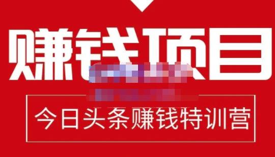 懒人领域·今日头条项目玩法,头条中视频项目,单号收益在50—500可批量-第一资源库