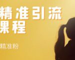 soul精准引流系列课程,每天引流100精准粉-第一资源库