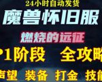 最新美服-怀旧服魔兽搬砖攻略,练级声望装备打金副本技能赚钱攻略-第一资源库