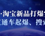 凌童·淘宝新品打爆实战班,直通车起爆、搜索起爆-第一资源库