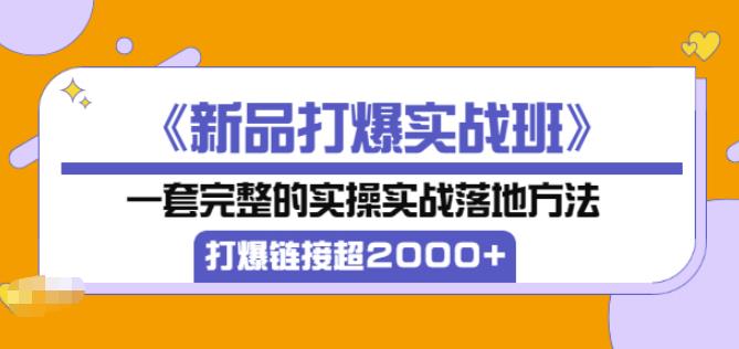 凌童《新品打爆实战班》,一套完整的实操实战落地方法,打爆链接超2000+(28节课)-第一资源库