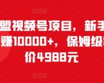 猎人联盟视频号项目，新手0基础轻松月赚10000+，保姆级教程原价4988元-第一资源库