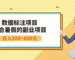 副业赚钱：人工智能数据标注项目，简单易上手，小白也能日入200+-第一资源库