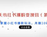 21天小红书涨粉变现营（第3期）：带你掌握小红书爆款玩法，月赚10W+秘密-第一资源库