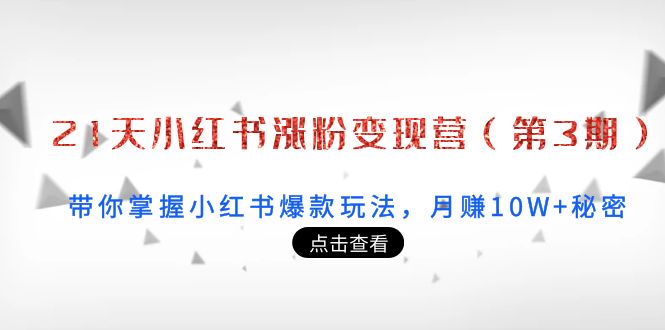 21天小红书涨粉变现营(第3期):带你掌握小红书爆款玩法,月赚10W+秘密-第一资源库