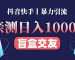 日收益1000+的交友盲盒副业丨有手就行的抖音快手暴力引流-第一资源库