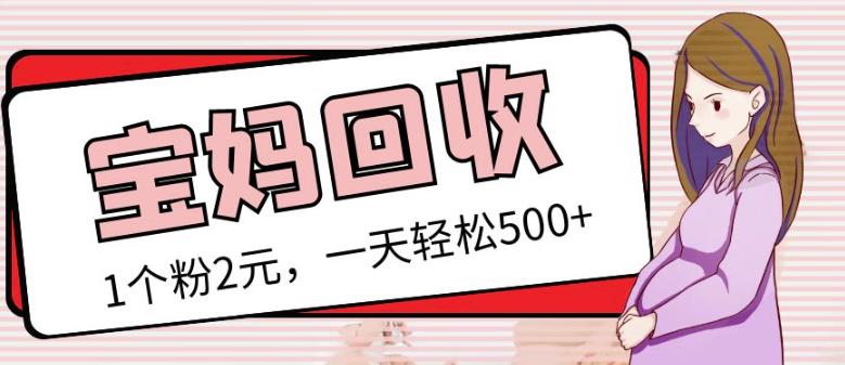 最新小红书母婴号宝妈粉回收项目,1个粉2元,一天轻松500+案例分享【粉丝包回收】-第一资源库