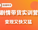 《剧情带货实训营》目前最好的直播带货方式,变起现来是又快又猛(价值980元)-第一资源库