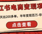 顽石·小红‬书电商变现项目，实测当天出200多单，半年变现百万，非常稳定-第一资源库