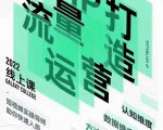 大蓝流量运营&个人ip打造课,短视频带货/爆款文案/流量运营/直播入门/镜头变现/流量商业-第一资源库