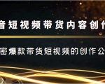 抖音短视频带货内容创作班，解密爆款带货短视频的创作公式-第一资源库