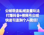 公域导流私域流量玩法:打爆抖音+视频号公域,快速引流到个人微信!-第一资源库
