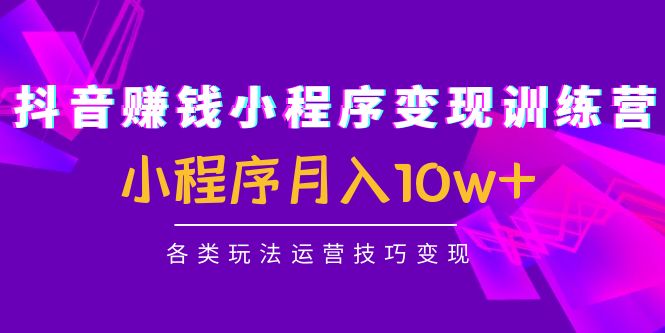抖音赚钱小程序变现训练营:小程序月入10w+各类玩法运营技巧变现-第一资源库