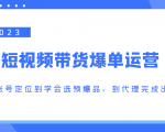 2023短视频带货爆单运营,从账号定位到学会选预爆品,到代理完成出单(价值1250元)-第一资源库
