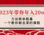 韭菜-联盟·2023年带你年入20w+方法简单粗暴，一个教你割韭菜的课程-第一资源库