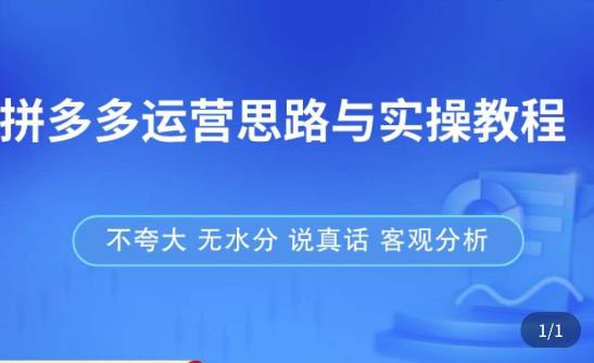 拼多多店铺运营思路与实操教程,快速学会拼多多开店和运营,少踩坑,多盈利-第一资源库