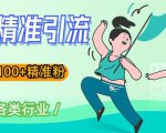 soul精准引流系列课程,一天引流100+精准粉,适合各类行业-第一资源库