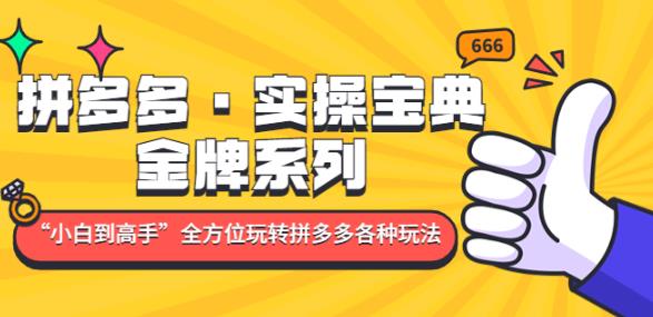 拼多多·实操宝典:金牌系列“小白到高手”带你全方位玩转拼多多各种玩法-第一资源库