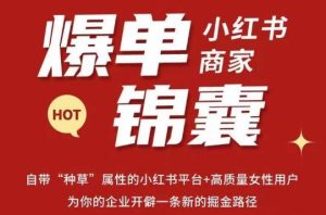 无畏·小红书商家爆单锦囊,掌握小红书各大规则,快速精准抢占行业和市场-第一资源库