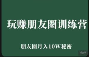 玩赚朋友圈系统课,朋友圈月入10W的秘密,7天系统图文课程-第一资源库