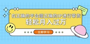 在正确的平台蹭正确的IP进行带货,轻松月入过万-第一资源库