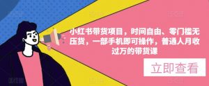 小红书带货项目,时间自由、零门槛无压货,一部手机即可操作,普通人月收过万的带货课-第一资源库