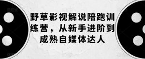 野草影视解说陪跑训练营,从新手进阶到成熟自媒体达人-第一资源库