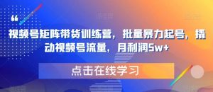 视频号矩阵带货训练营,批量暴力起号,撬动视频号流量,月利润5w+-第一资源库