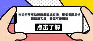 未央拼多多快速流量起爆实操,拼多多新品快速起爆实操,看完不走弯路-第一资源库