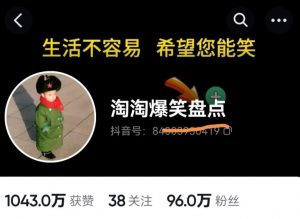 价值1000的搞笑盘点大V淘淘爆笑盘点详细课程+软件，中视频变现-第一资源库