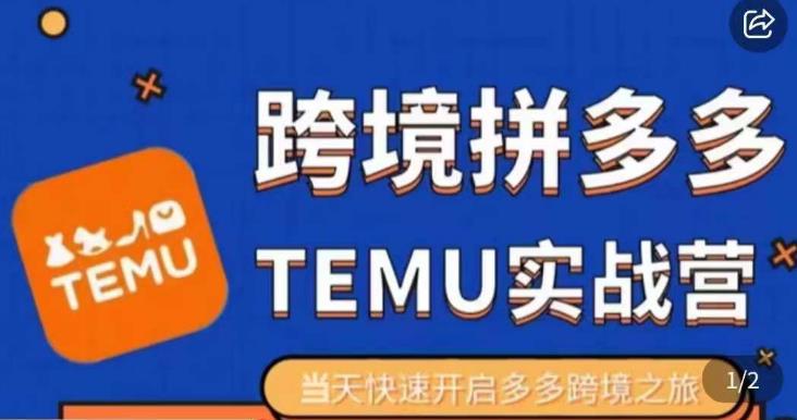 大鹏出海·拼多多跨境temu运营指导，开店注册+选品+核价上架，日出千单实战课-第一资源库