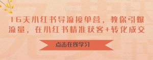 16天小红书导流接单营,教你引爆流量,在小红书精准获客+转化成交-第一资源库