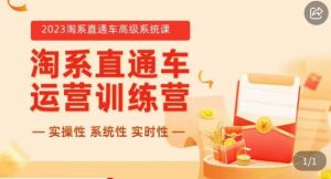 冠东·2023淘系直通车高级系统课,实操性,系统性,实时性,直通车完整体系教学-第一资源库