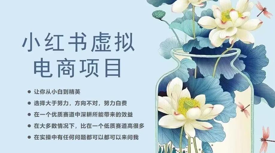 小红书虚拟电商从0到1,让你从小白到精英(20节实操课程)-第一资源库