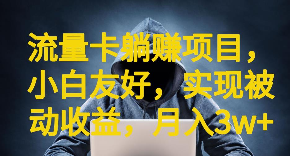 流量卡躺赚项目,小白友好,开设后台,实现被动收益,只要出卡,就能一直赚钱,利润高昂【揭秘】-第一资源库